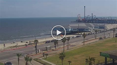 galveston web cam|Island WebCams 